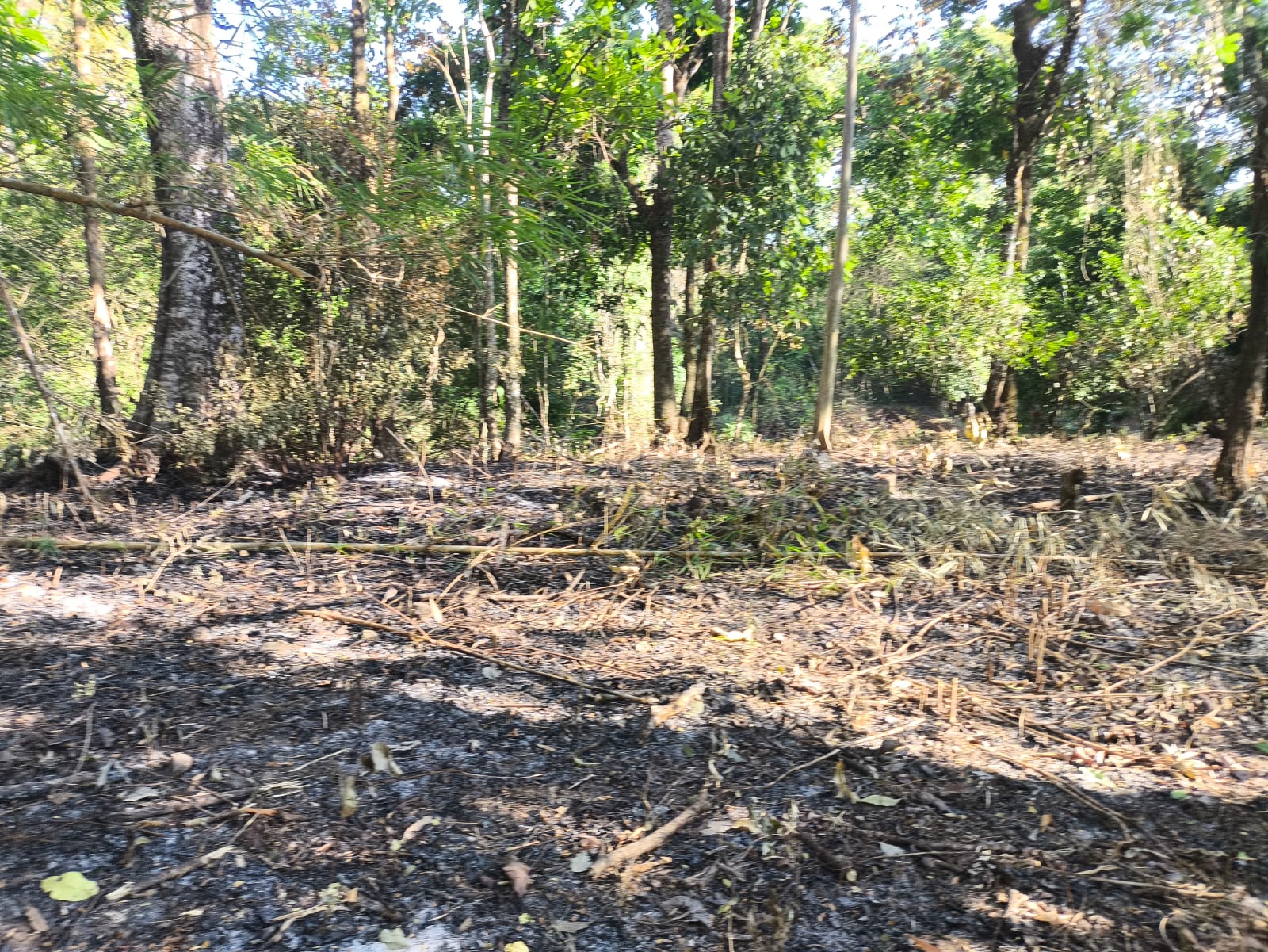 Blue Zone Eco Land for Sale in Cobano Costa Rica