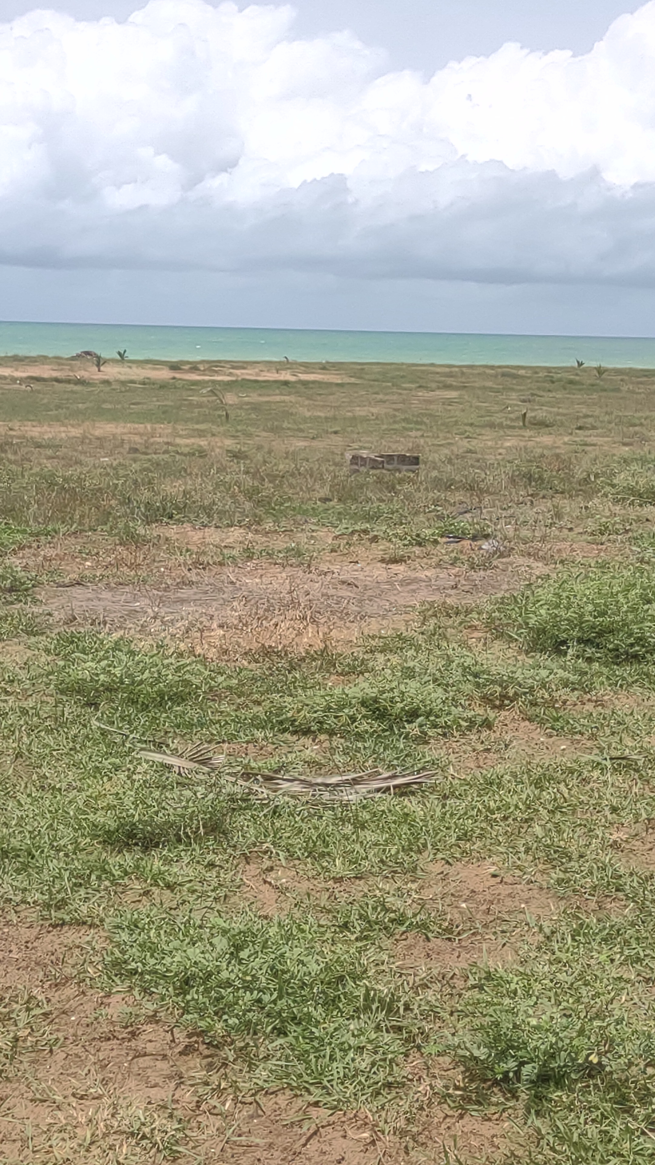 OPPORTUNITÉ À SAISIR EN  URGENCE: DOMAINE À VENDRE À LA PLAGE GRAND POPO PLAGE, ENTRE LE GOUDRON ET L'OCÉAN.