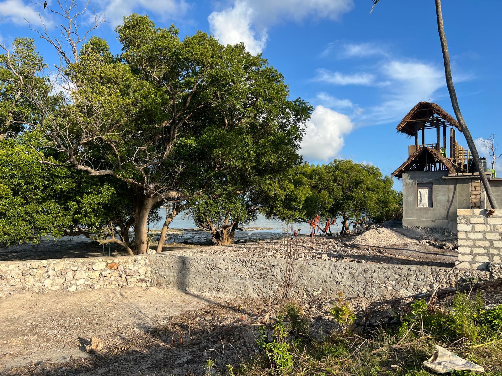 BEACH PLOT FOR SALE IN PONGWE BEACH ,ZANZIBAR,TANZANIA.