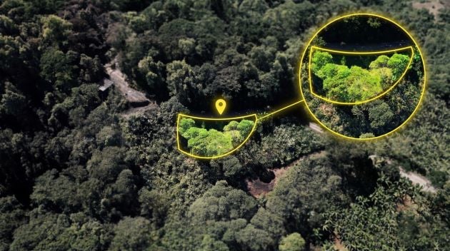 MOUNTAIN LAND WITH COOL CLIMATE IN GUADALUPE DE RIVAS