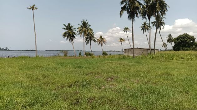 FOR SALE: A 1.12-hectare waterfront property in Bingerville, near the ...