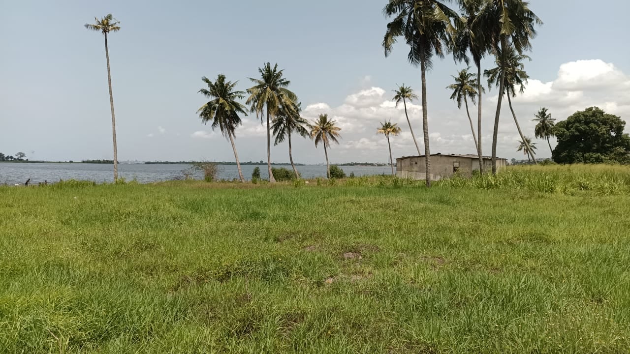 FOR SALE: A 1.12-hectare waterfront property in Bingerville, near the Laurier estate.