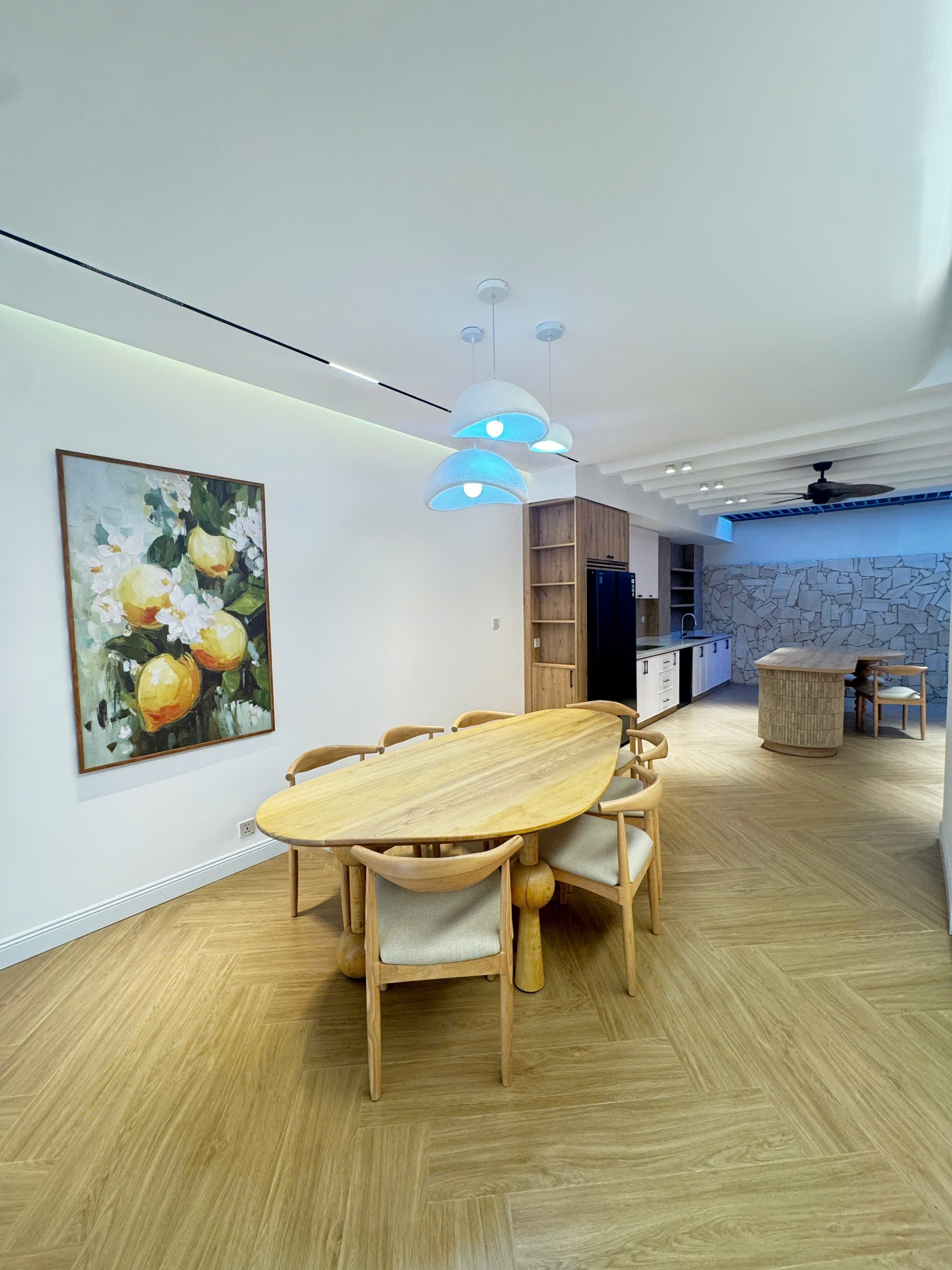Whole house for rent My Gia Urban Area, package 8 of The Capella 