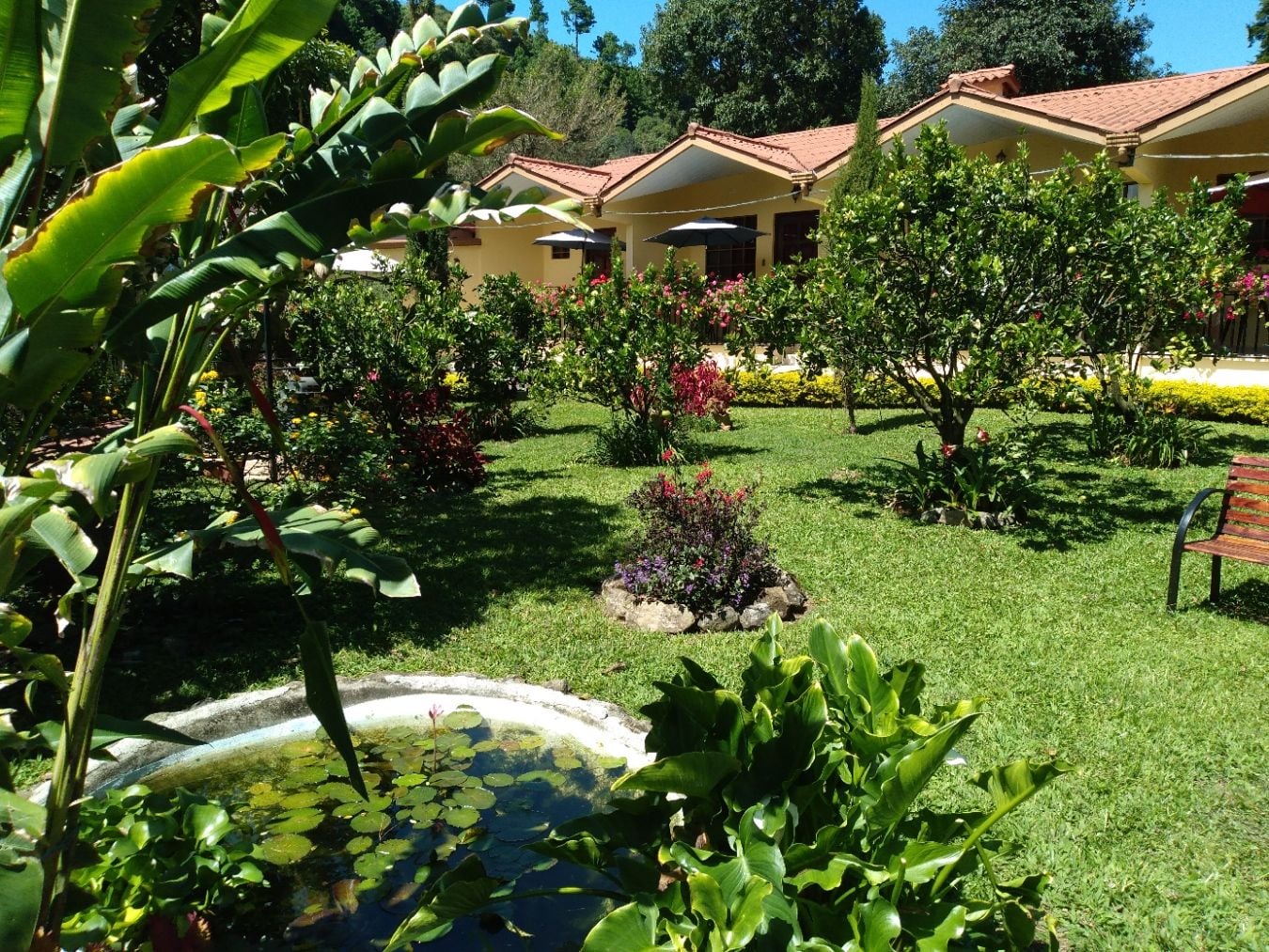 Affordable apartment in Boquete, Panama for extended stay