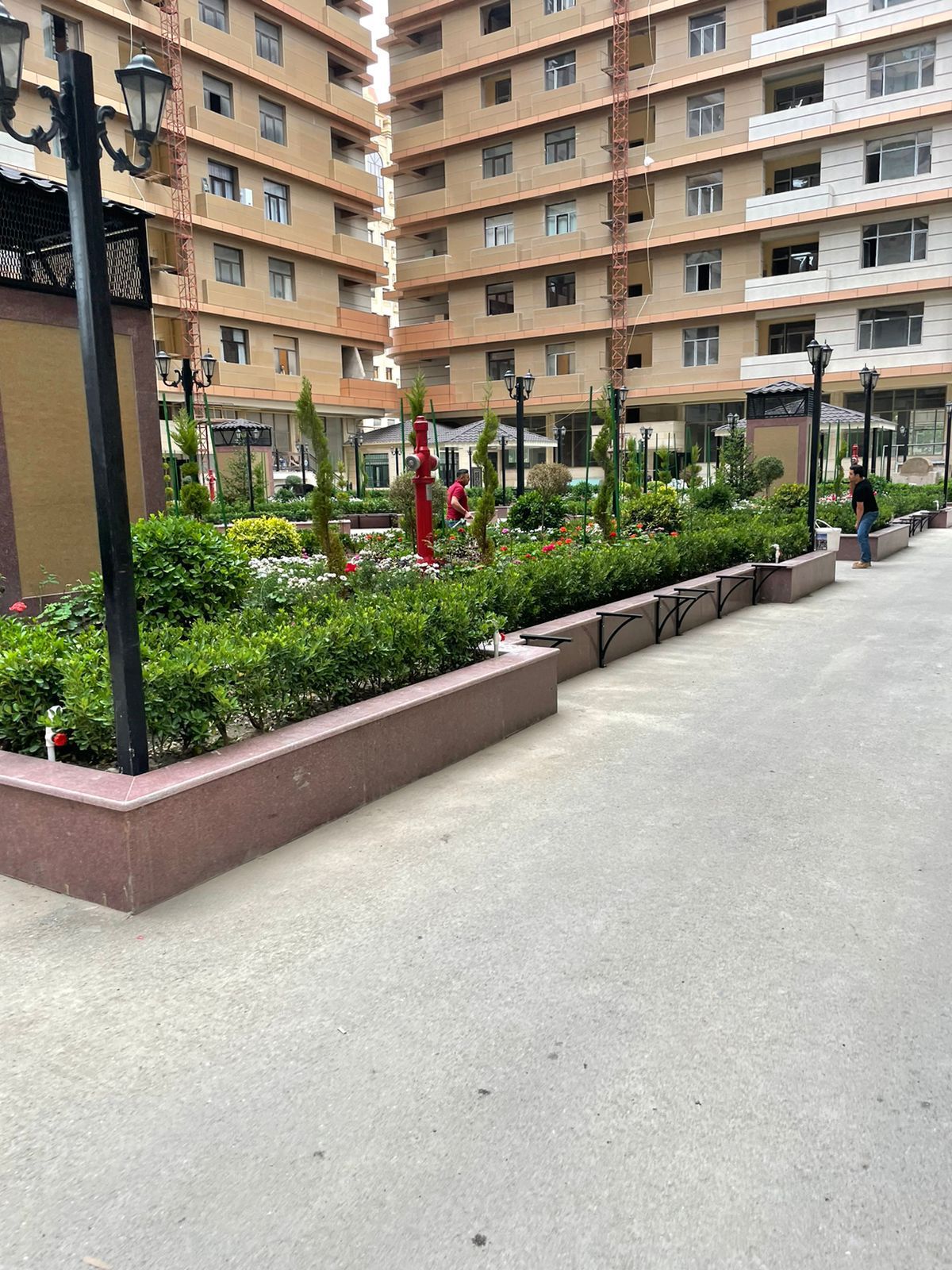 New 1 BDR apt for rent close to Winter Park