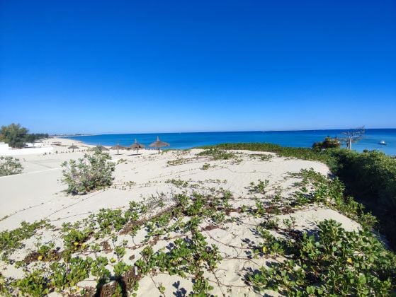 FOR SALE – SEASIDE LAND IN ANAKAO, TULEAR, MADAGASCAR – REF: ...