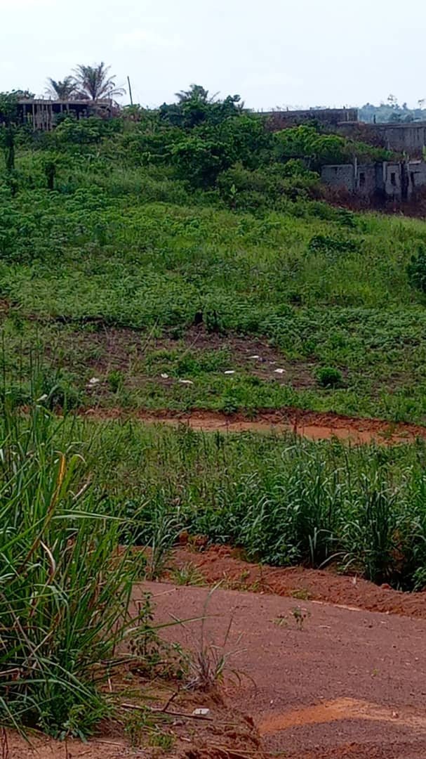 Terrain en vente à nsimalen