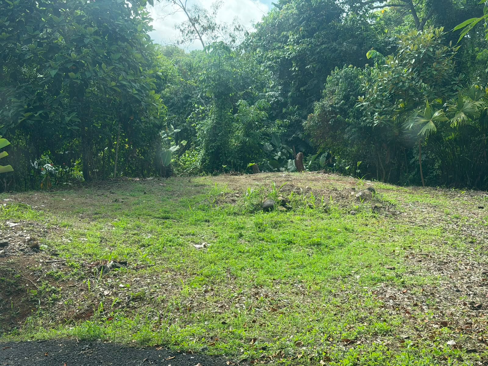 TOURIST COMPLEX WITH CABINS AND HIGH INVESTMENT POTENTIAL