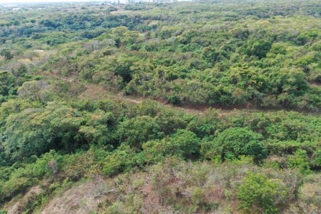 Industrial Land for Sale – 135k m² Palenque, San ...