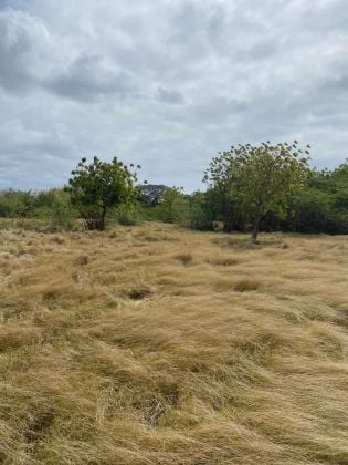 Land for Sale – 35k m² Near Playa Palenque, San Cristóbal