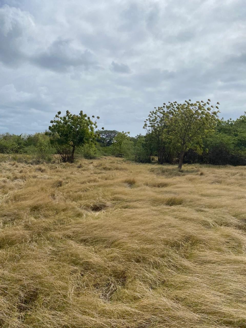 Terreno in vendita – 35k m² vicino a Playa Palenque, San Cristóbal
