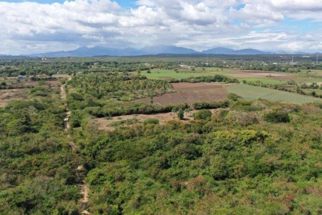 Land for Sale – 10k m² Near Playa Palenque, San Cristóbal