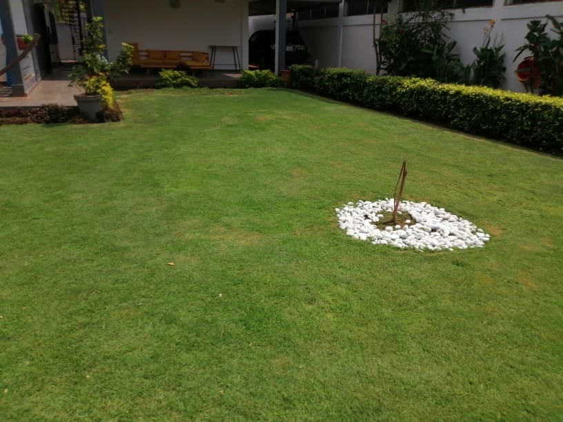Location d'une maison à piscine et jardin
