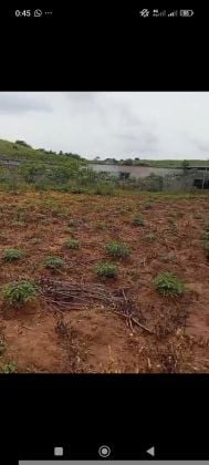 Land opportunity in Songon M'brathe 