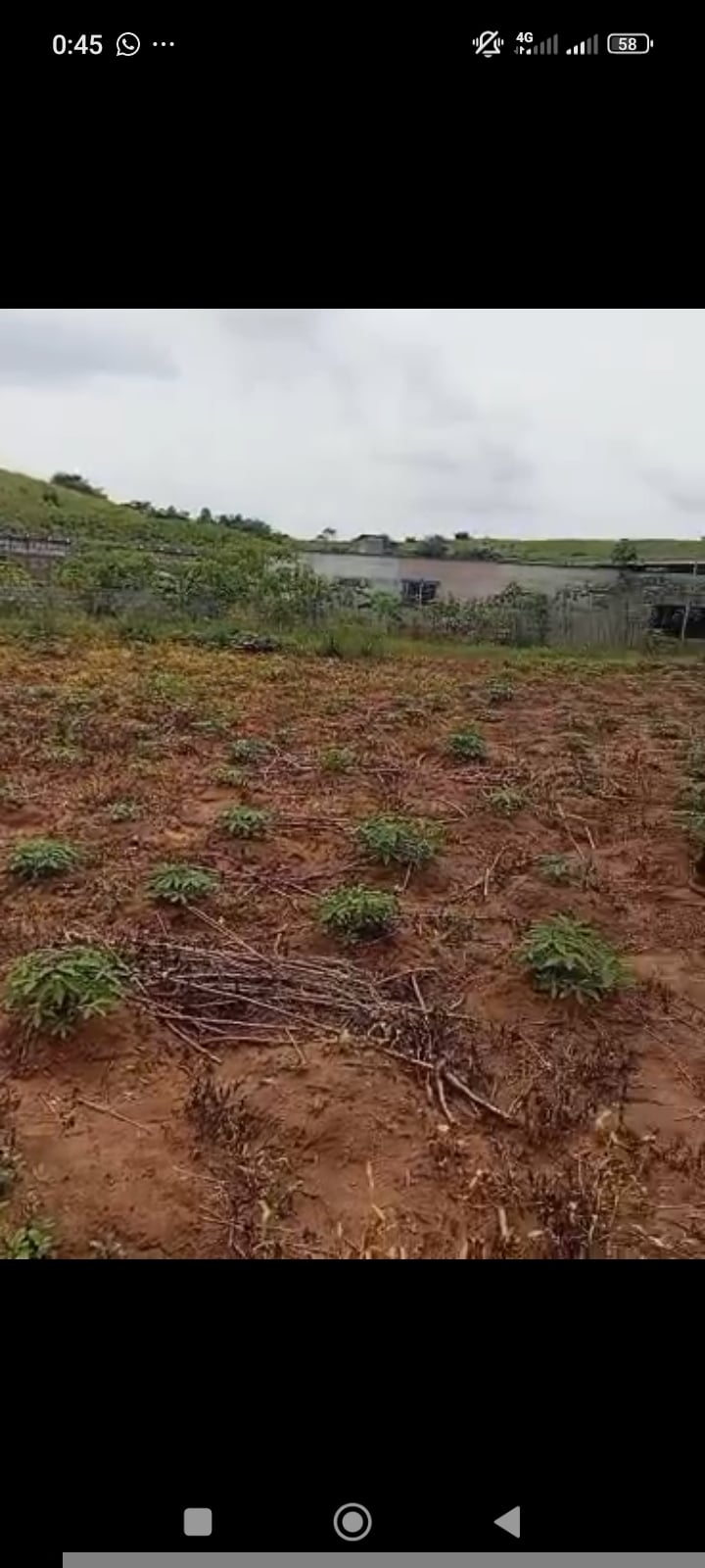 Land opportunity in Songon M'brathe