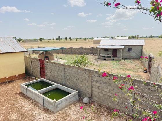 Superb Self-Sufficient Estate (Villa & Fish Farm + Church) - ...