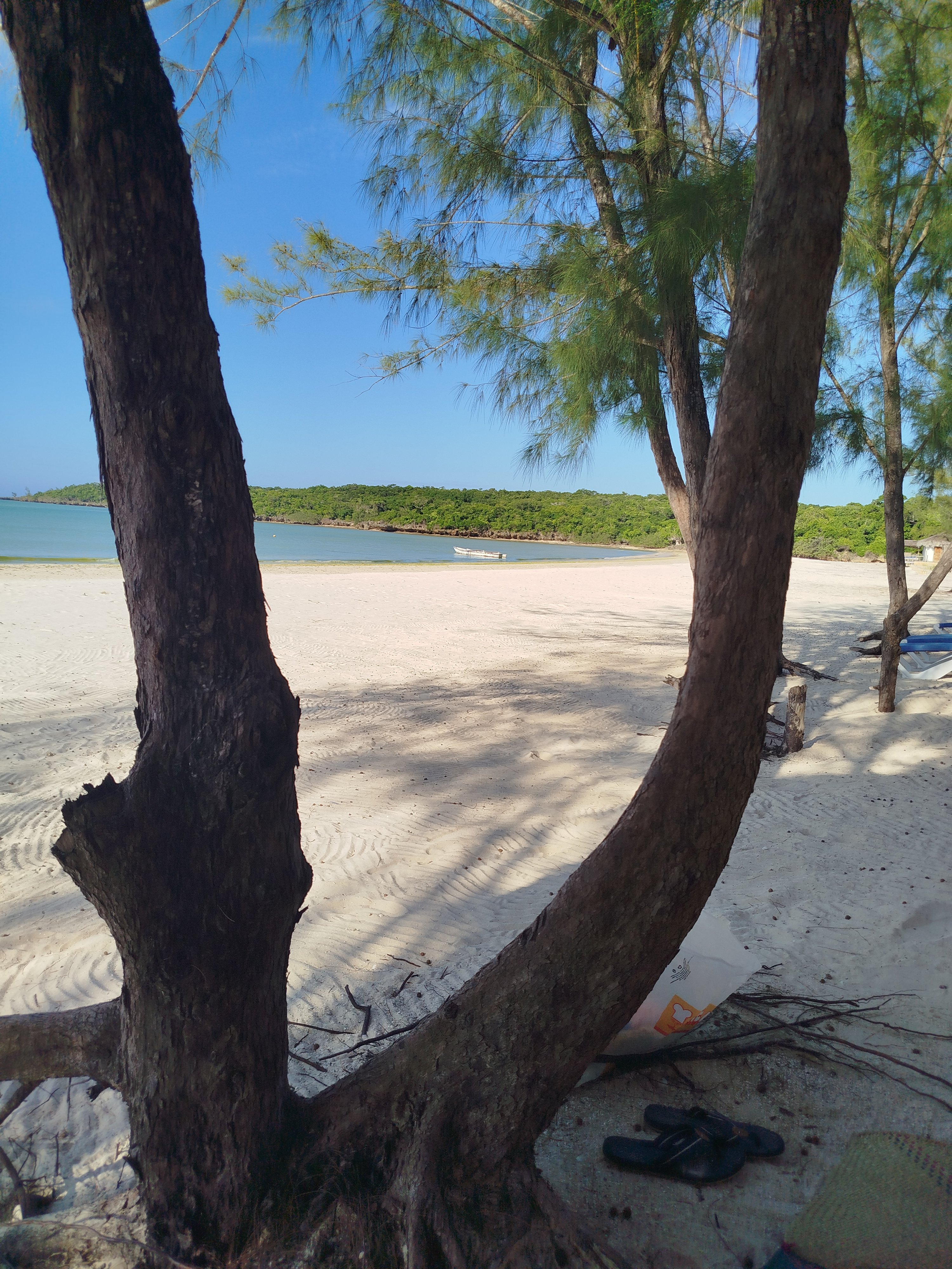 PARTICULIER VENDS TERRAIN DE 25 HECTARES CONSTRUCTIBLE COMPLEXE HOTELIER OU LOTISSEMENT VILLAS PISCINE