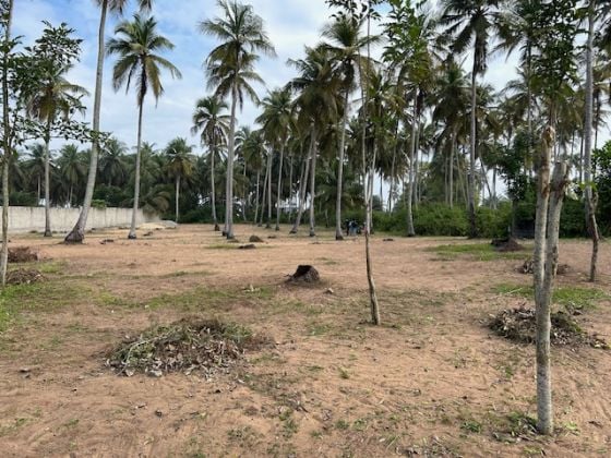 Mondoukou, Terrain à vendre 1OOO m2 avec ACD