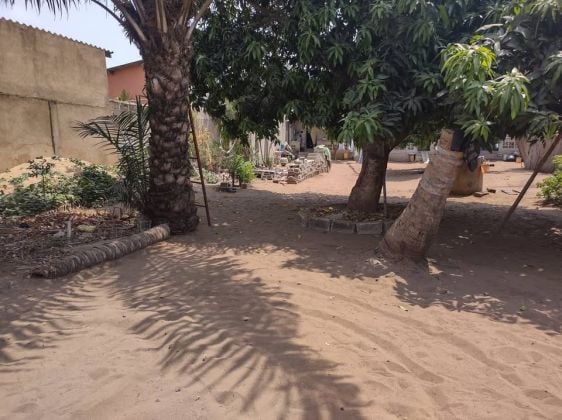 Terrain demi lot 300m² - Baguida Boad