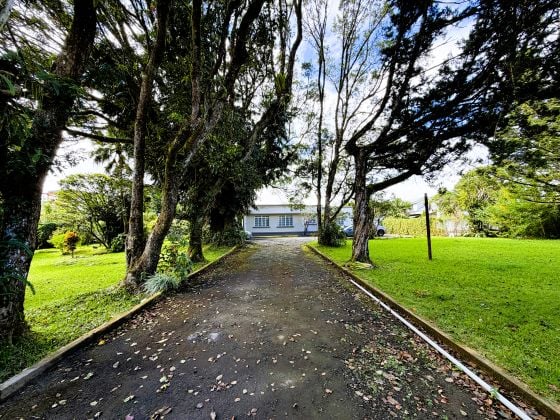 BUREAU À LOUER | PLUS DE 2,000 M² DE POTENTIEL CORPORATE | ...