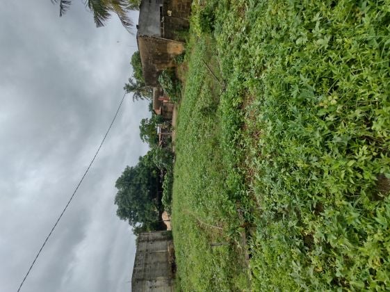 TERRAIN À VENDRE À BAGUIDA (Lomé-Togo)