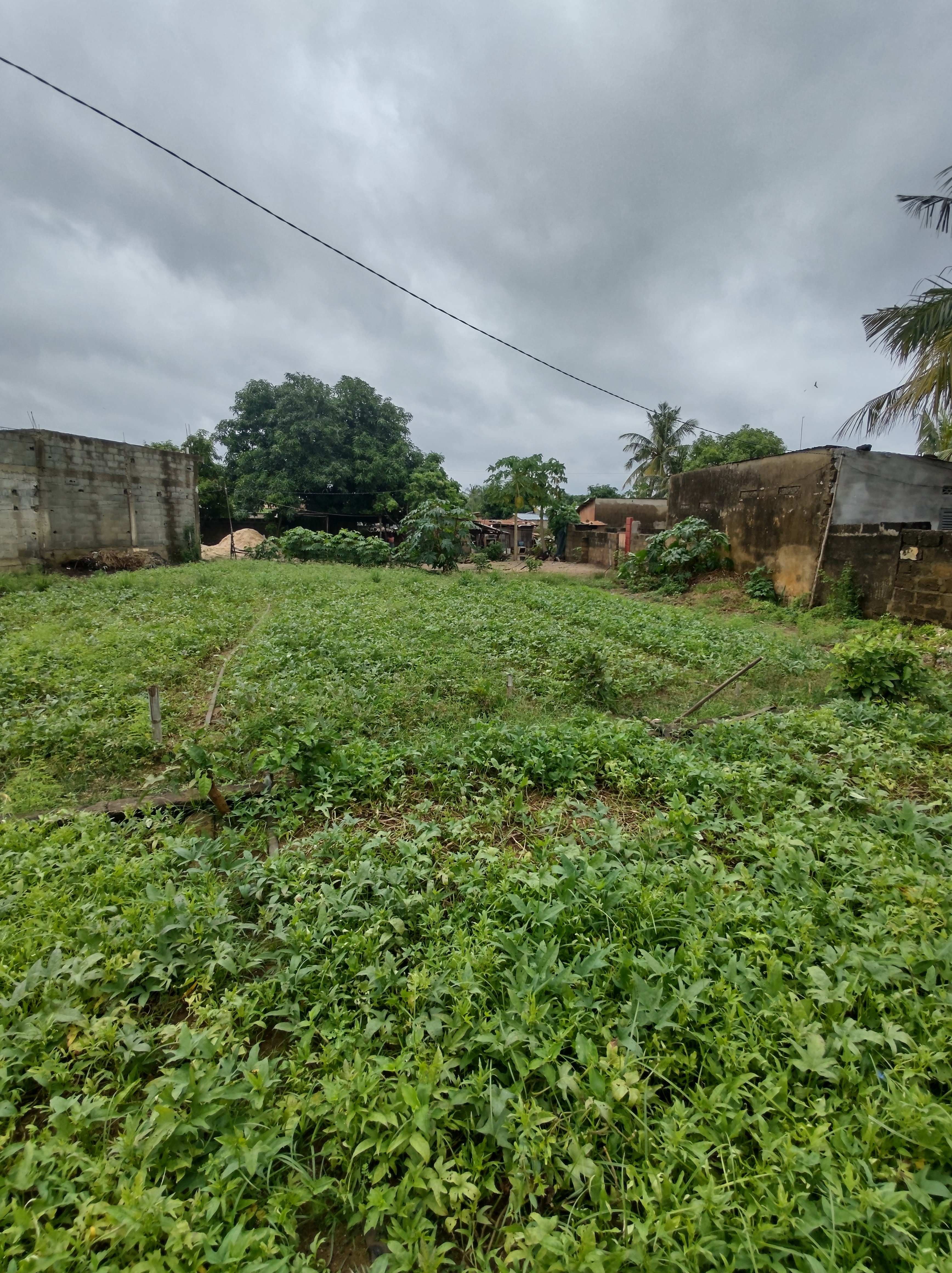 TERRAIN À VENDRE À BAGUIDA (Lomé-Togo)