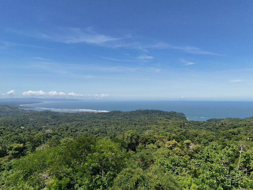 LAND WITH OCEAN VIEW IN OJOCHAL