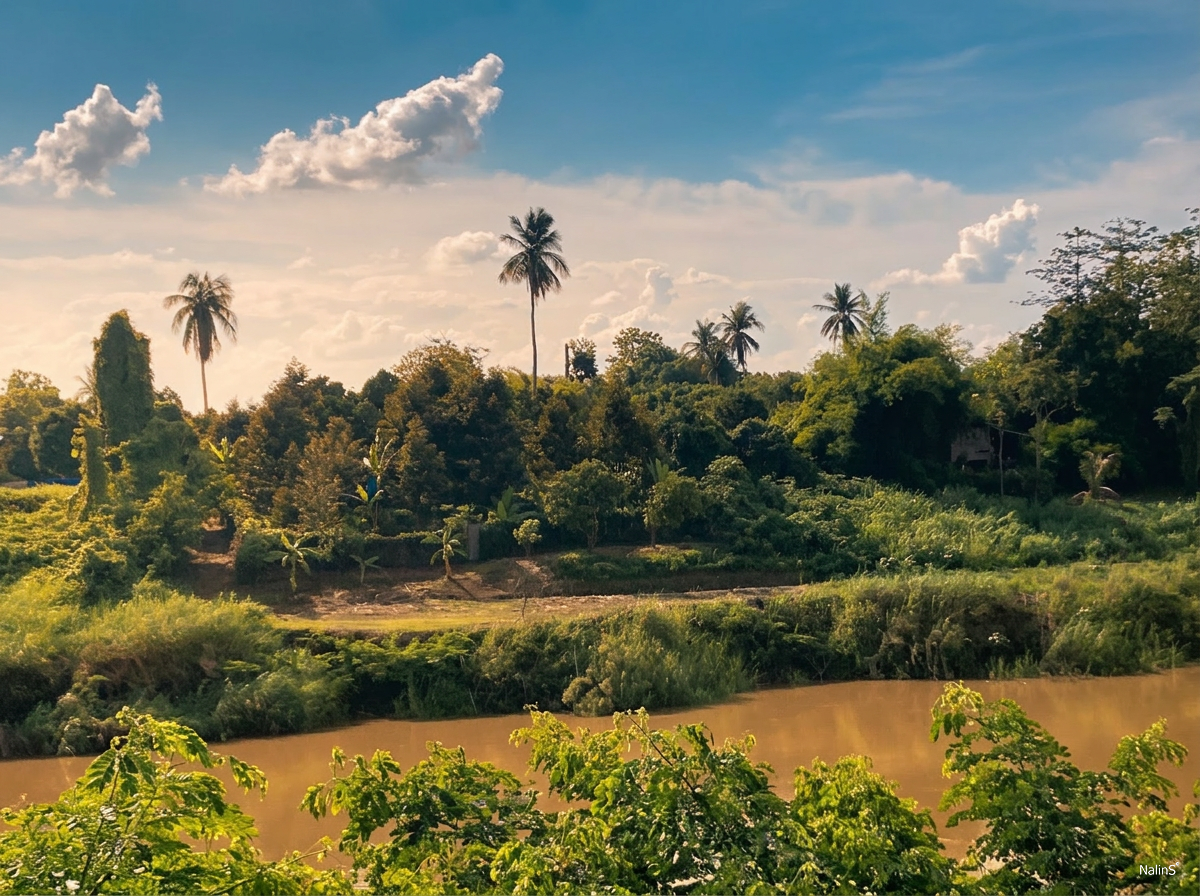 Peaceful Riverside Land for Sale | 3,228 sqm | Hat Siao, Sukhothai