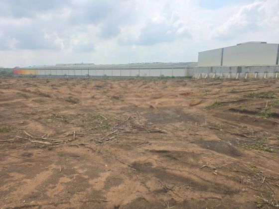Yopougon sur autoroute pk26 vente terrain 2ha2000m2 (ACD)