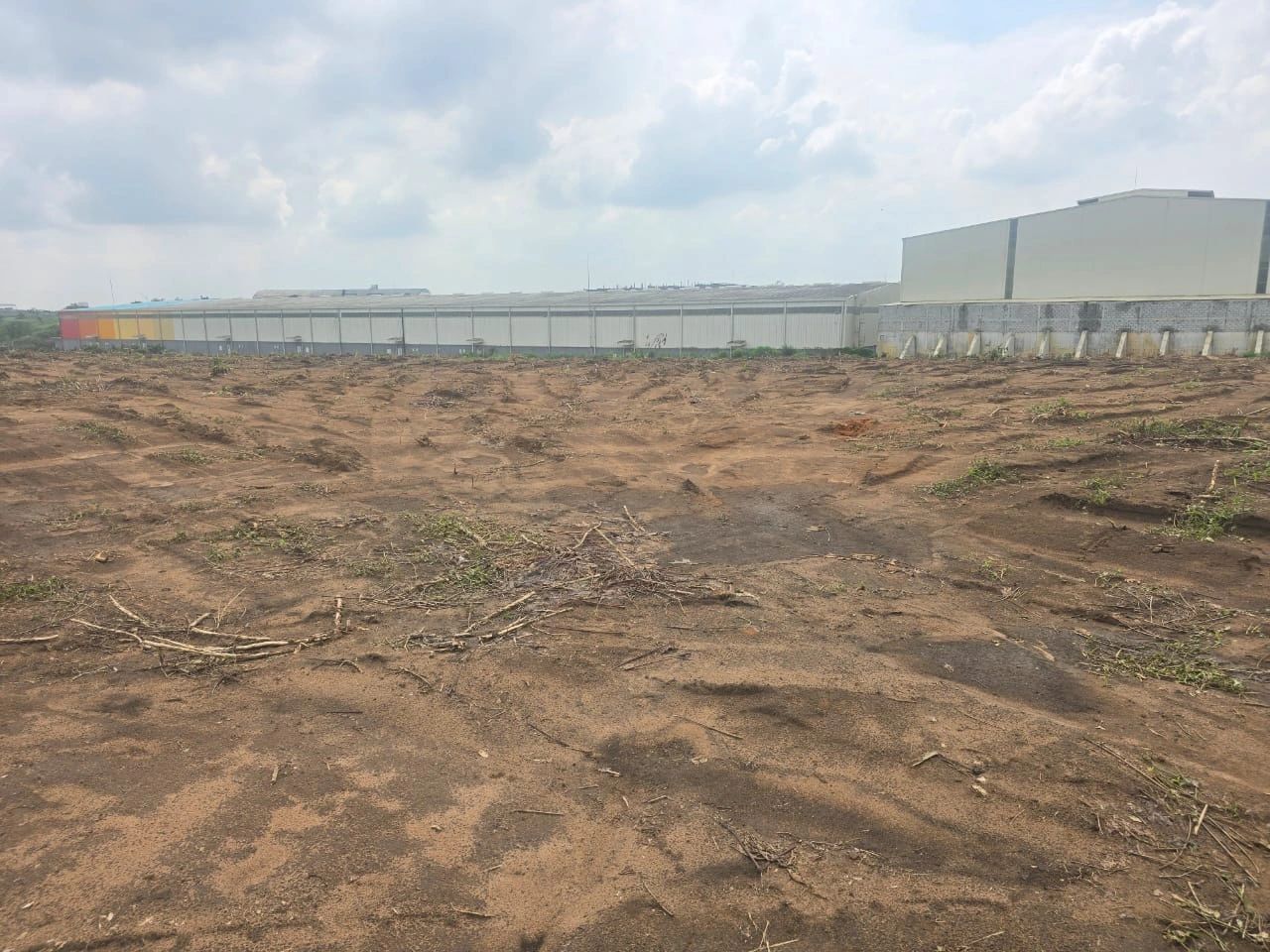 Yopougon sur autoroute pk26 vente terrain 2ha2000m2 (ACD)