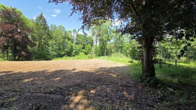 Saint-Hubert : Terrain de 23a 87ca avec ruisseau.