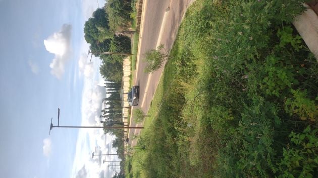 4 HECTARES AVEC TF À VENDRE À OUIDAH L'IRSP ENVIRON 1,2KM DE ...