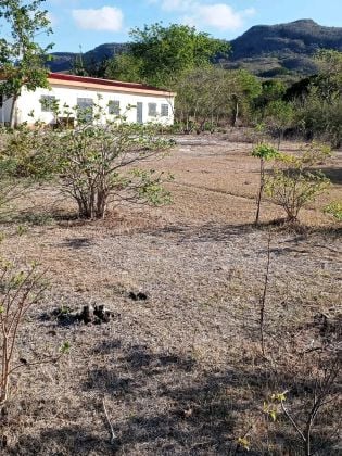 Eco-Livestock Farming & Agriculture Opportunity: Large 1200 m² Plot ...
