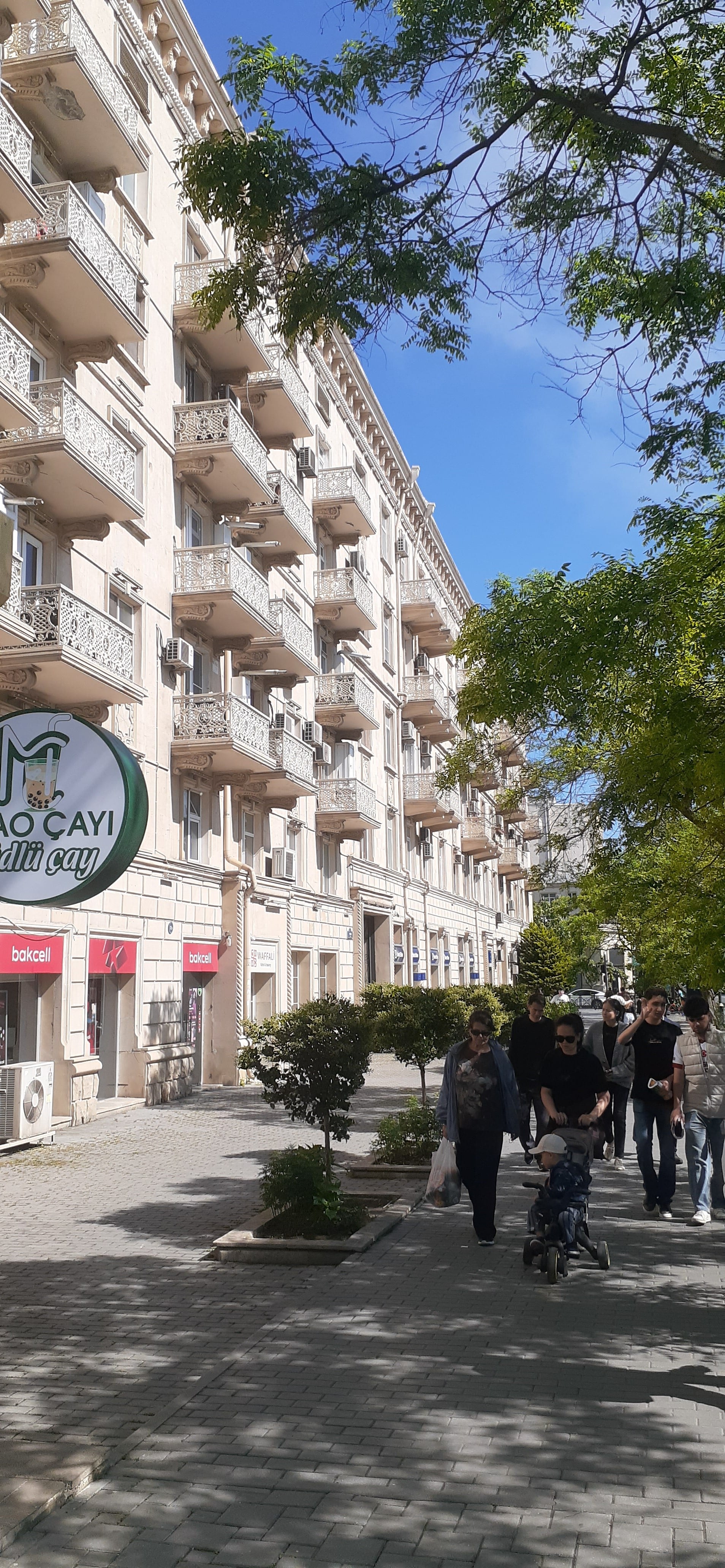 1 BDR flat at the park Samed Vurgun