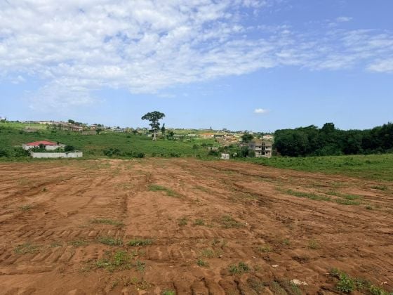 Terrain en vente sur songon kassemble 