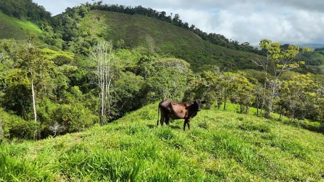 PROPERTY WITH ITS OWN WATER SUPPLY AND SPECTACULAR VIEWS