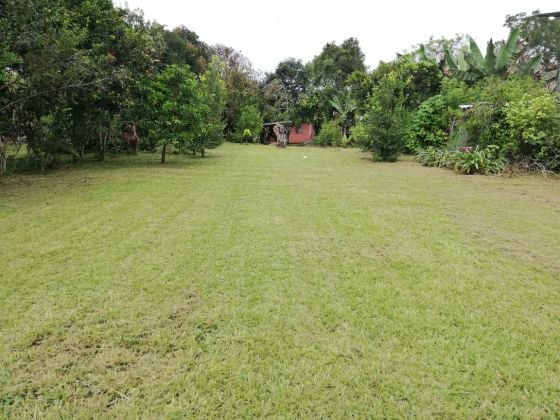 Lote Plano de 1,268 m² en Venta en Miraflores, General Viejo, ...