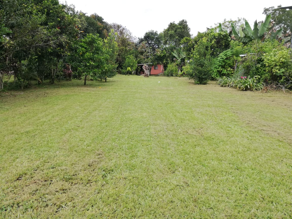 Flat 1,268 m² Lot for Sale in Miraflores, General Viejo, Pérez Zeledón, Costa Rica