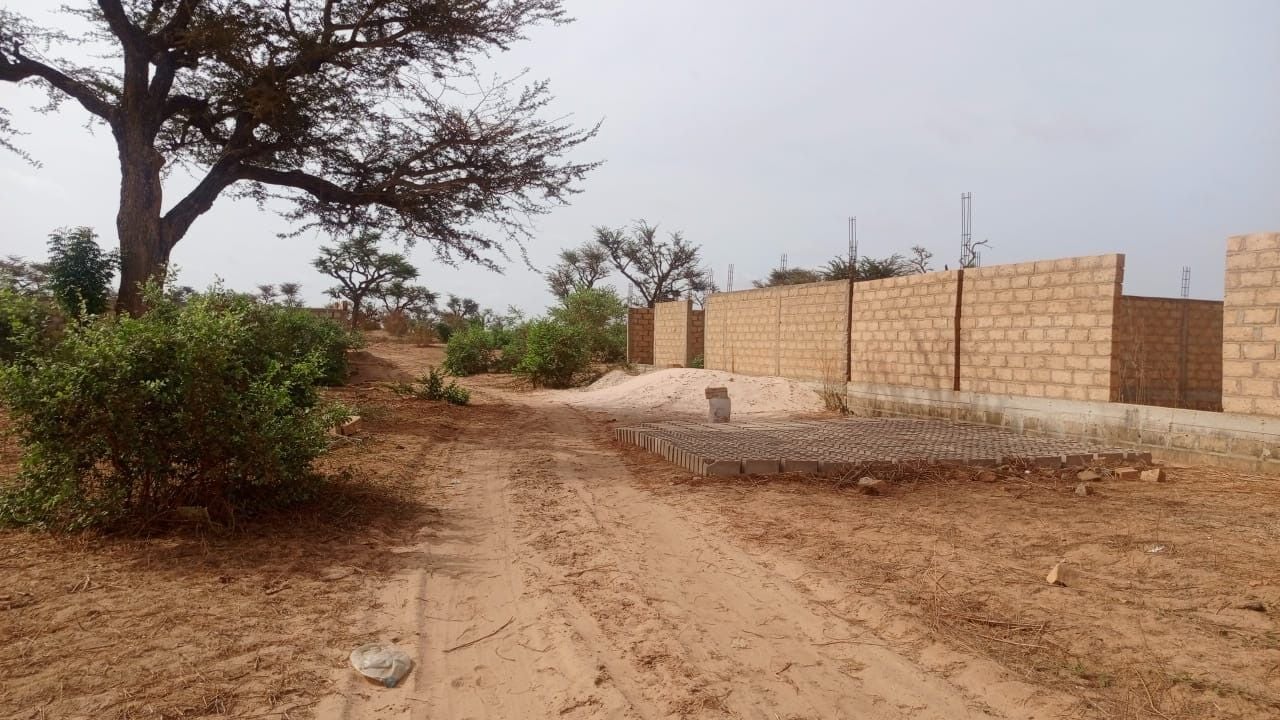 Terrain de 225 mètres carrés à vendre à Malicounda Sénégal