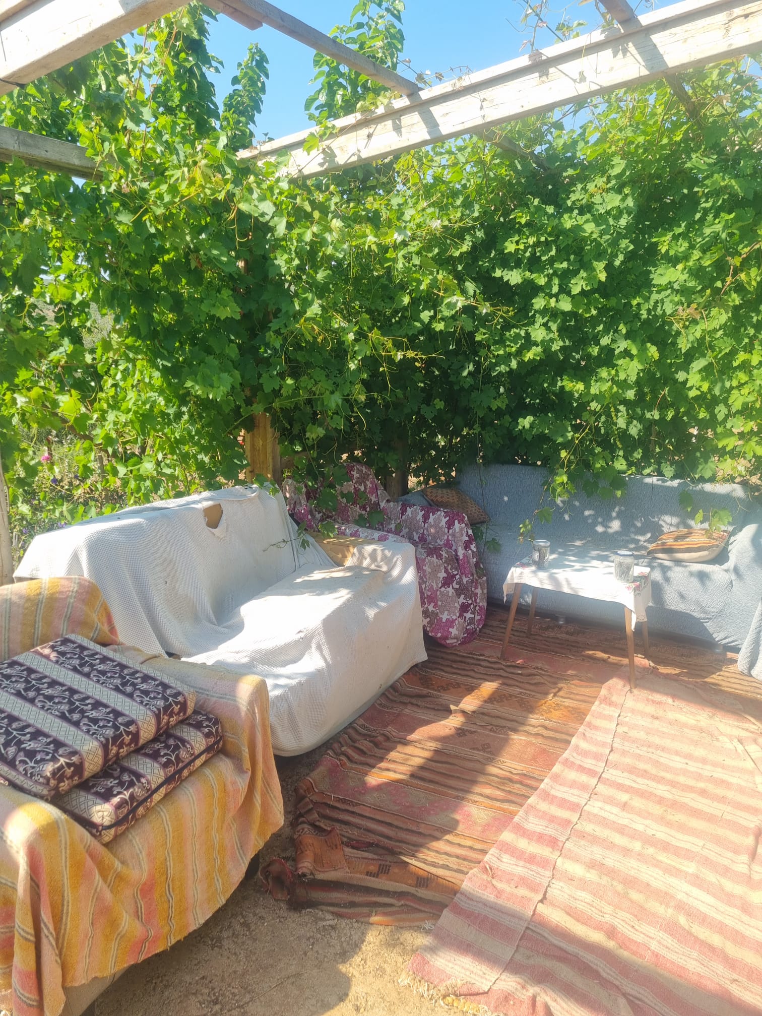 Land for Sale in Mazi, Bodrum - 6,950 m2 Usable Area