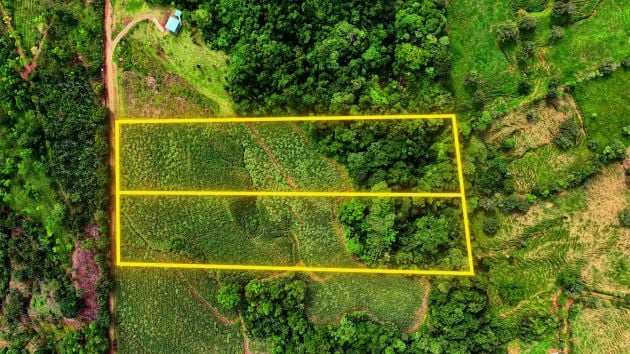 VENTA DE FINCA DE 2.5 HA CON VISTA A LA MONTAÑA EN GENERAL VIEJO, ...