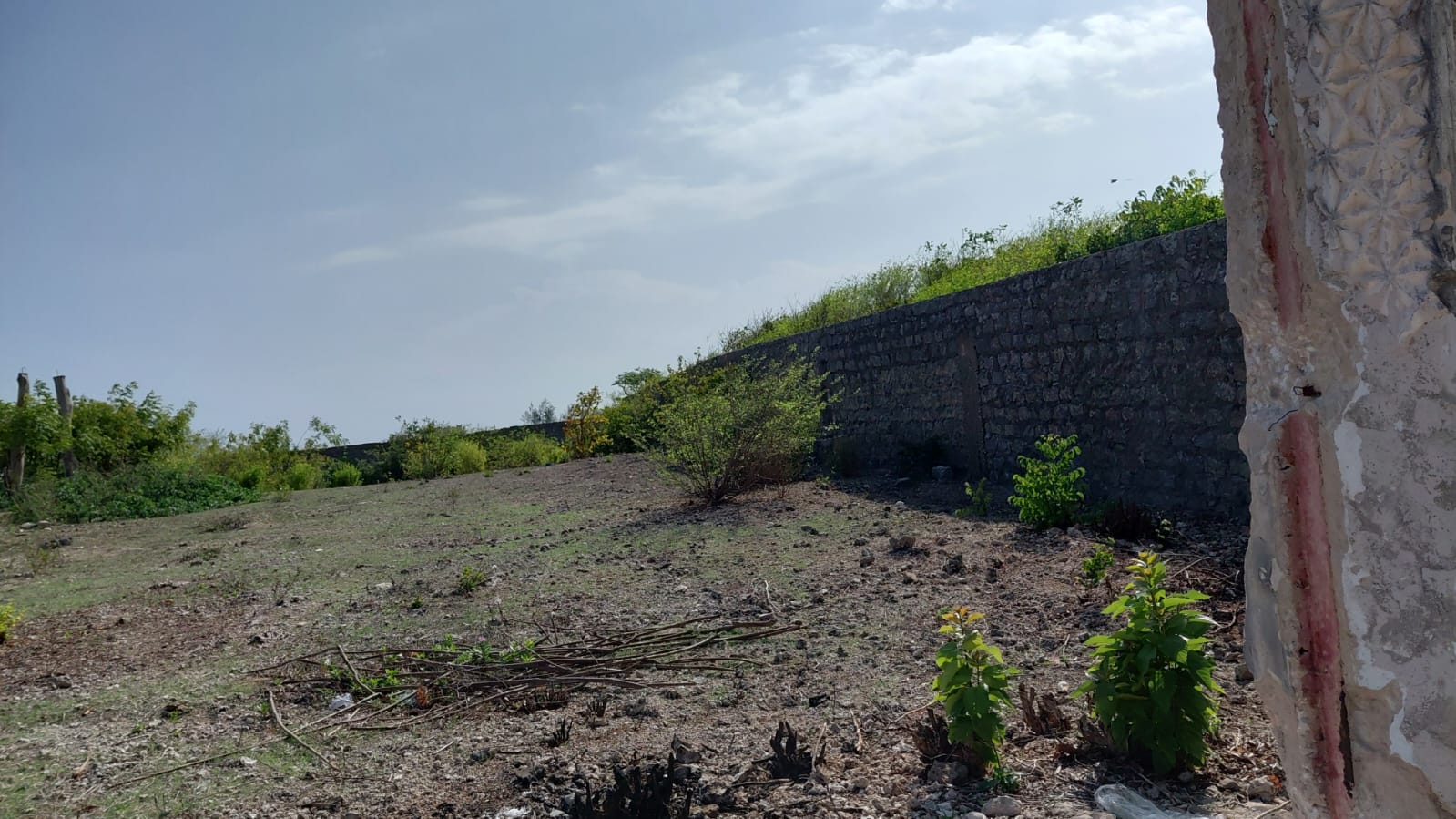 ��️ TERRAIN EN BORD DE MER À VENDRE – WATAMU, KENYA