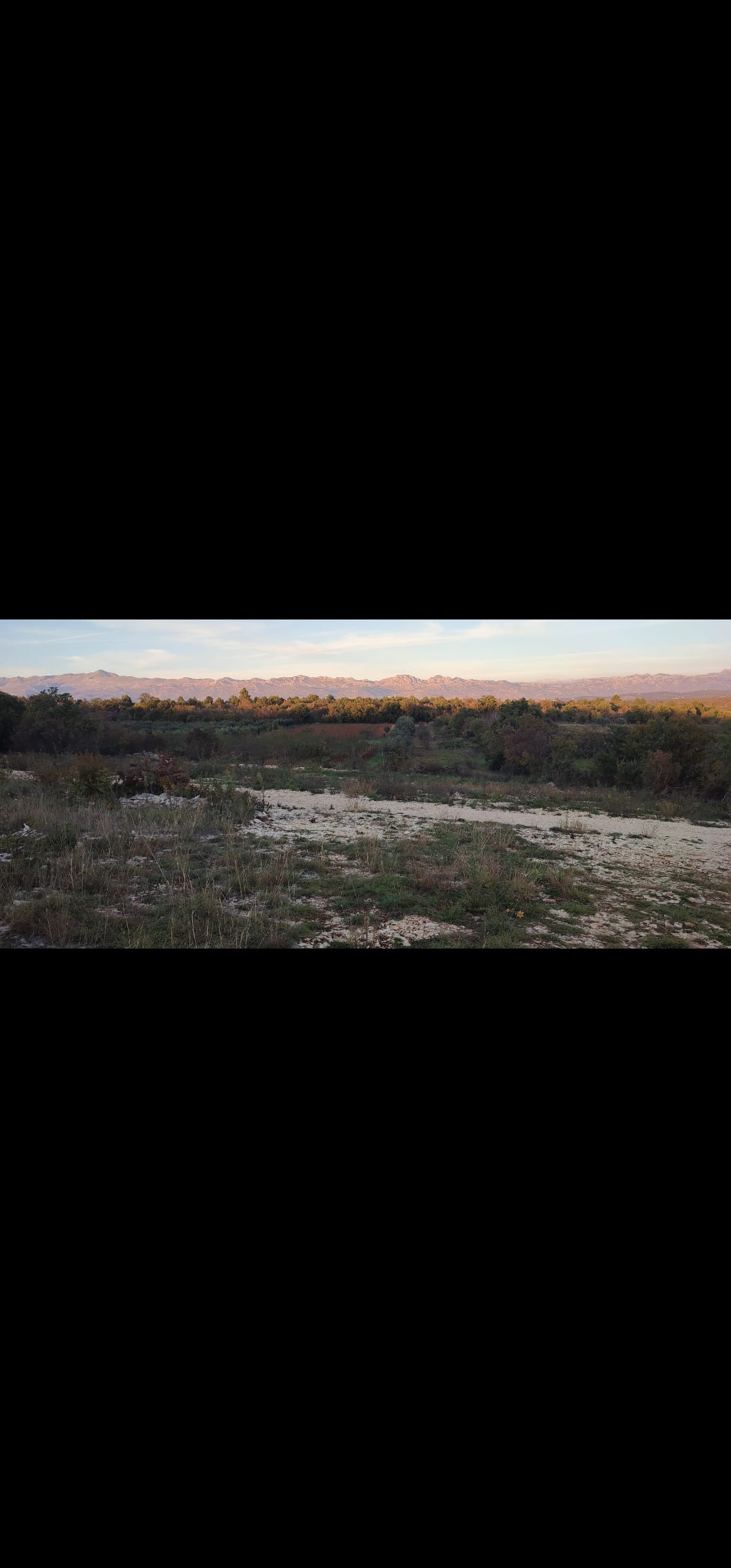 Building Plot for Sale – Novigrad (Pridraga), 655 m² – Open to Investors or Direct Sale