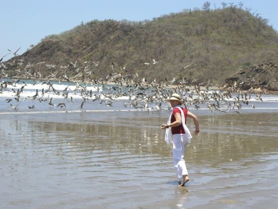 Titled Lot 100 m from El Ostional Beach - 8,171 m2 - US$165,000