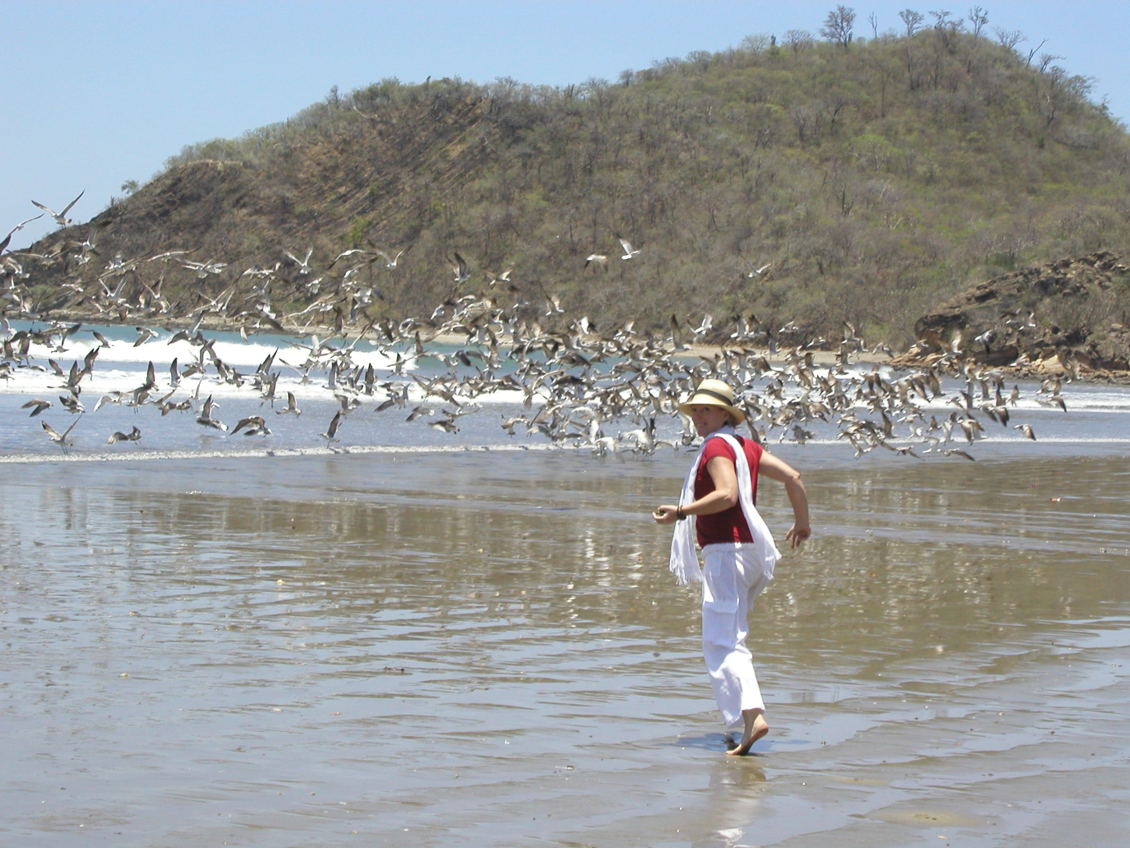 Titled Lot 100 m from El Ostional Beach - 8,171 m2 - US$165,000