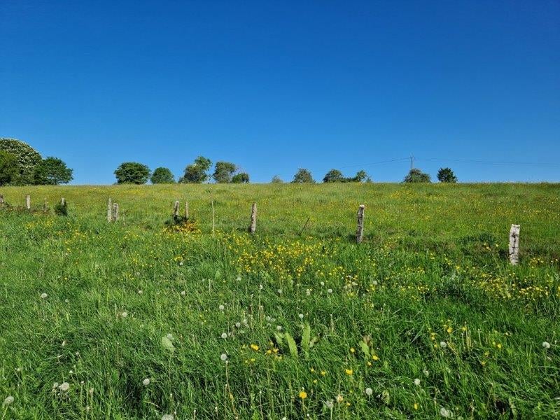Belgique 6830 Les Hayons : terrain de 1Ha 44a 66ca, très belle situation.