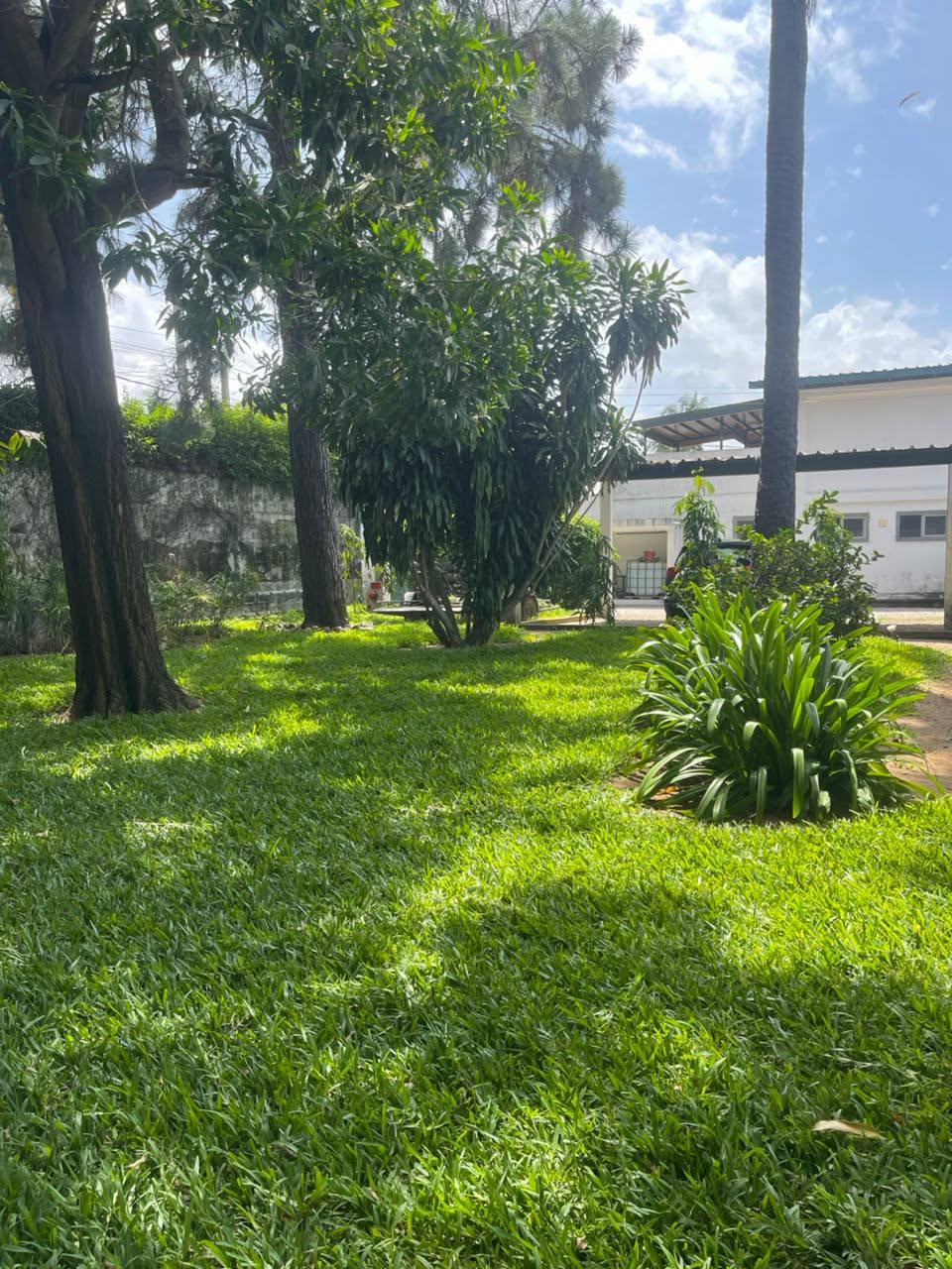 ZONE 4 RUE MAJORETTE en bordure de voie vente duplex sur 2400m2