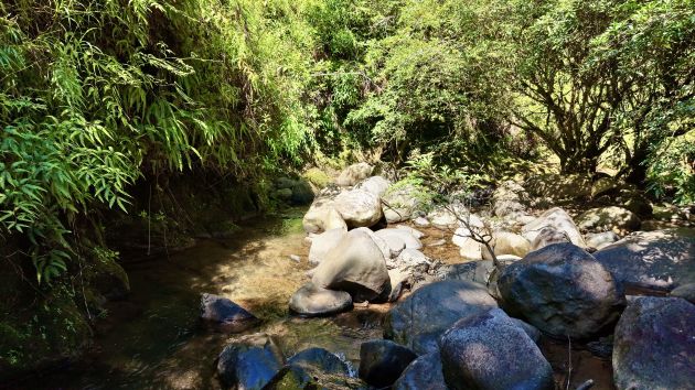 SE VENDE: SANTUARIO NATURAL AUTOCONECTADO DE 8 ACRES EN LAS ESTRIBOS DE ...