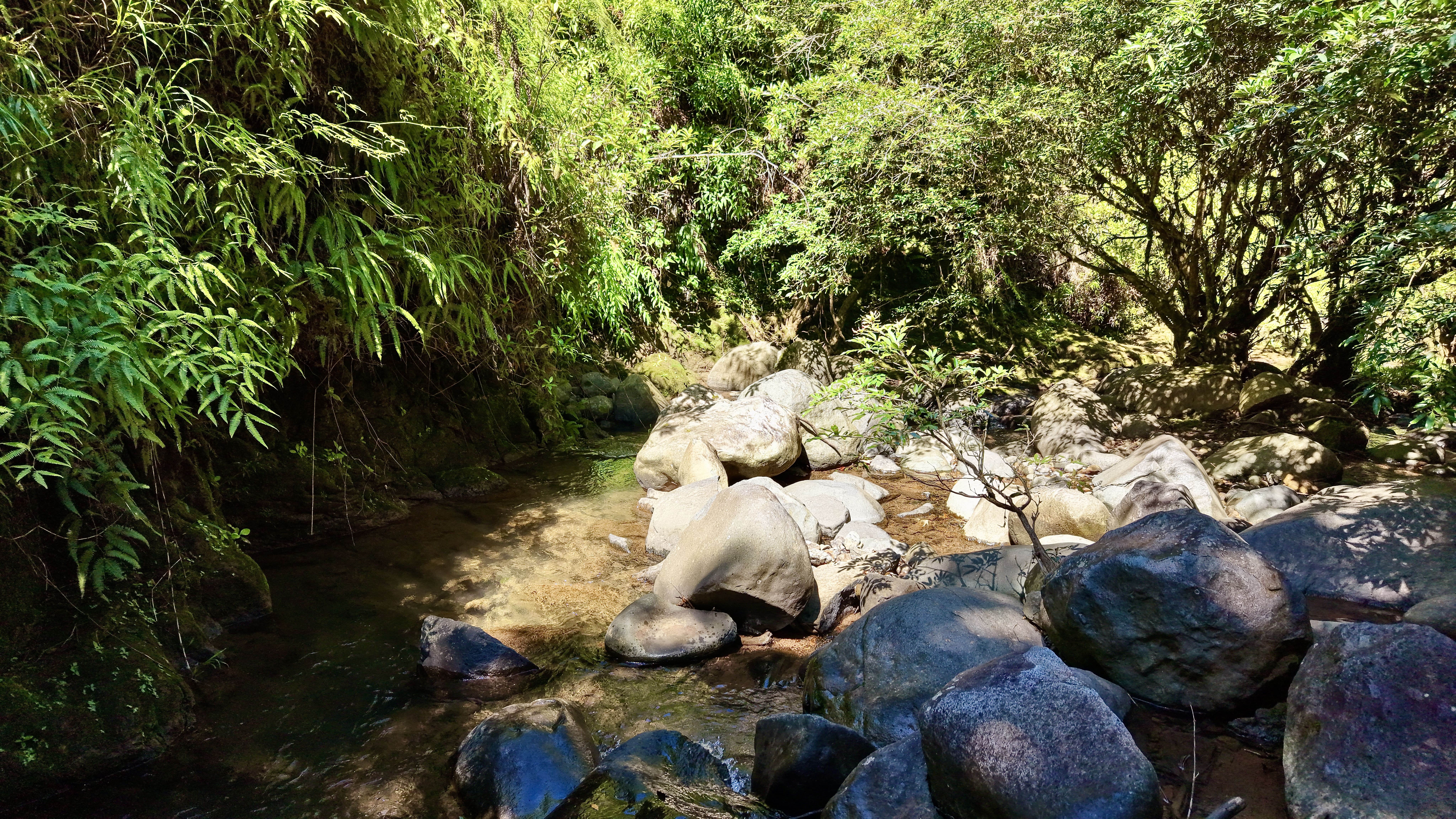 SE VENDE: SANTUARIO NATURAL AUTOCONECTADO DE 8 ACRES EN LAS ESTRIBOS DE CHIRRIPO, MIRAFLORES, PEREZ ZELEDON