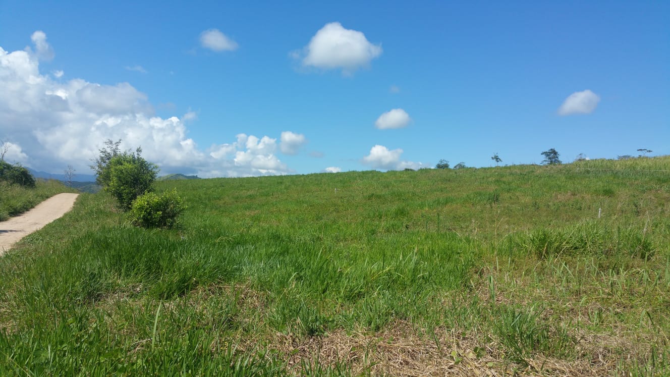 Two independent lots of 600 m² each — La Banda de Shilcayo, Tarapoto (San Martín, Peru)